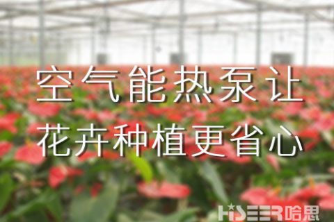 空氣能熱泵讓花卉種植更省心，優(yōu)品率可達90%以上